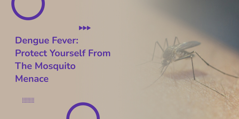 Collage with text and a mosquito biting a person.