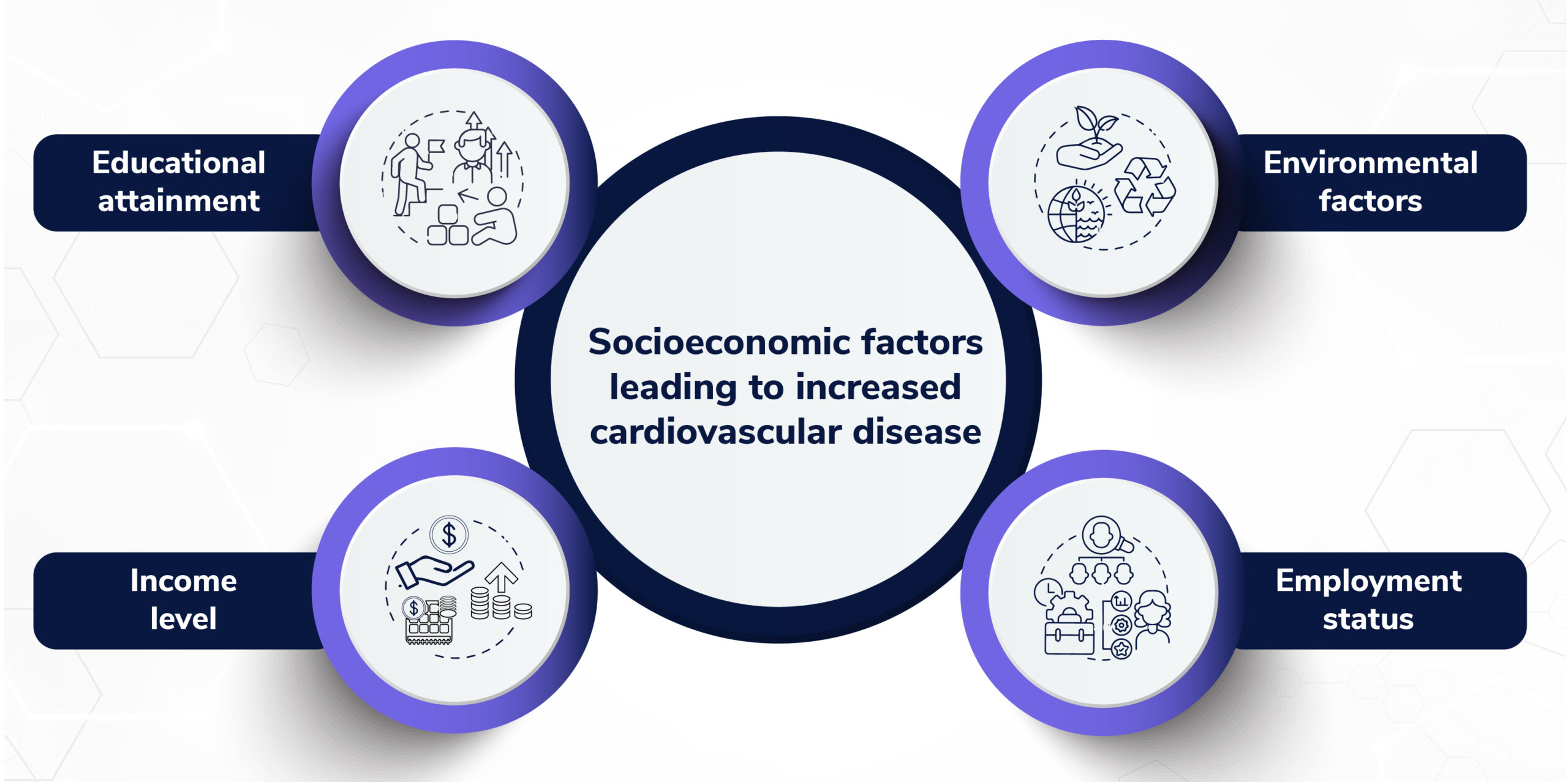 A visual representation of the socioeconomic factors that contribute to cardiovascular disease.